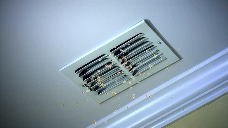 Best Emergency Air Duct Cleaning  in Conesus Lake, NY