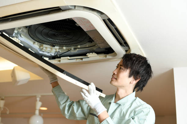 Best Home Air Vent Cleaning  in Conesus Lake, NY