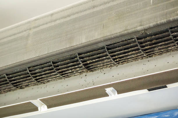 Best Air Vent Cleaning Services  in Conesus Lake, NY