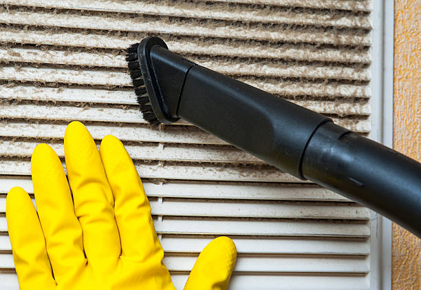Best Professional Duct Cleaning Services  in Conesus Lake, NY